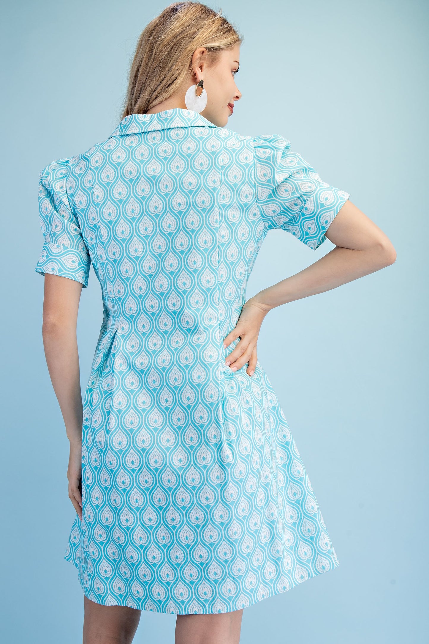 Printed A-line Collared Mini Dress