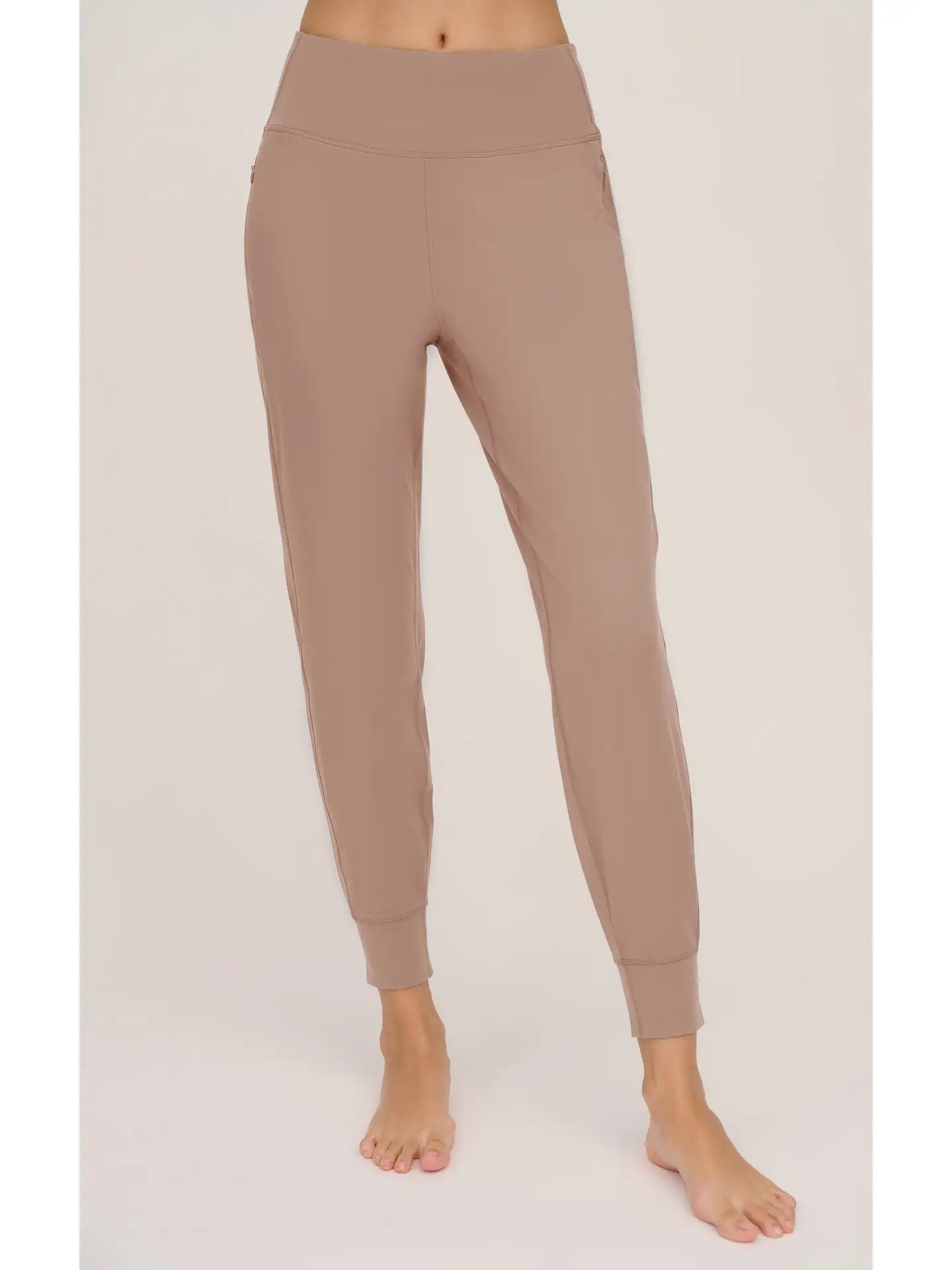 Women's Brush Inside Relaxed Fit Jogger For Everyday