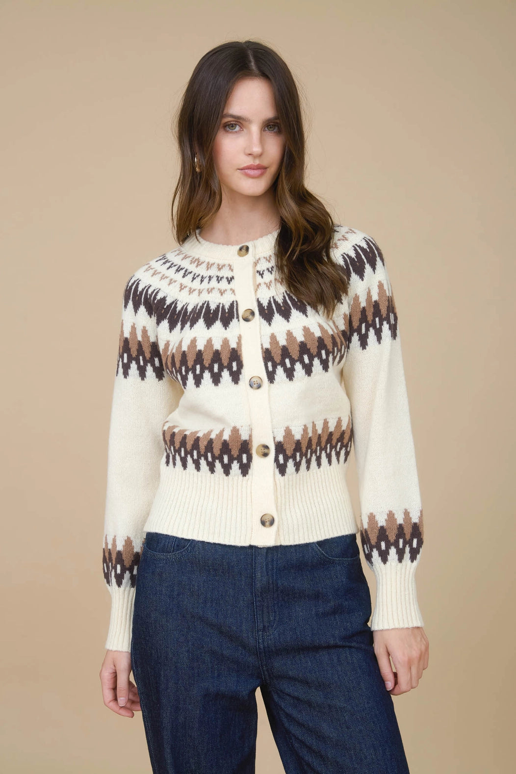 Multicolor Fair Isle Button Down Knit Cardigan