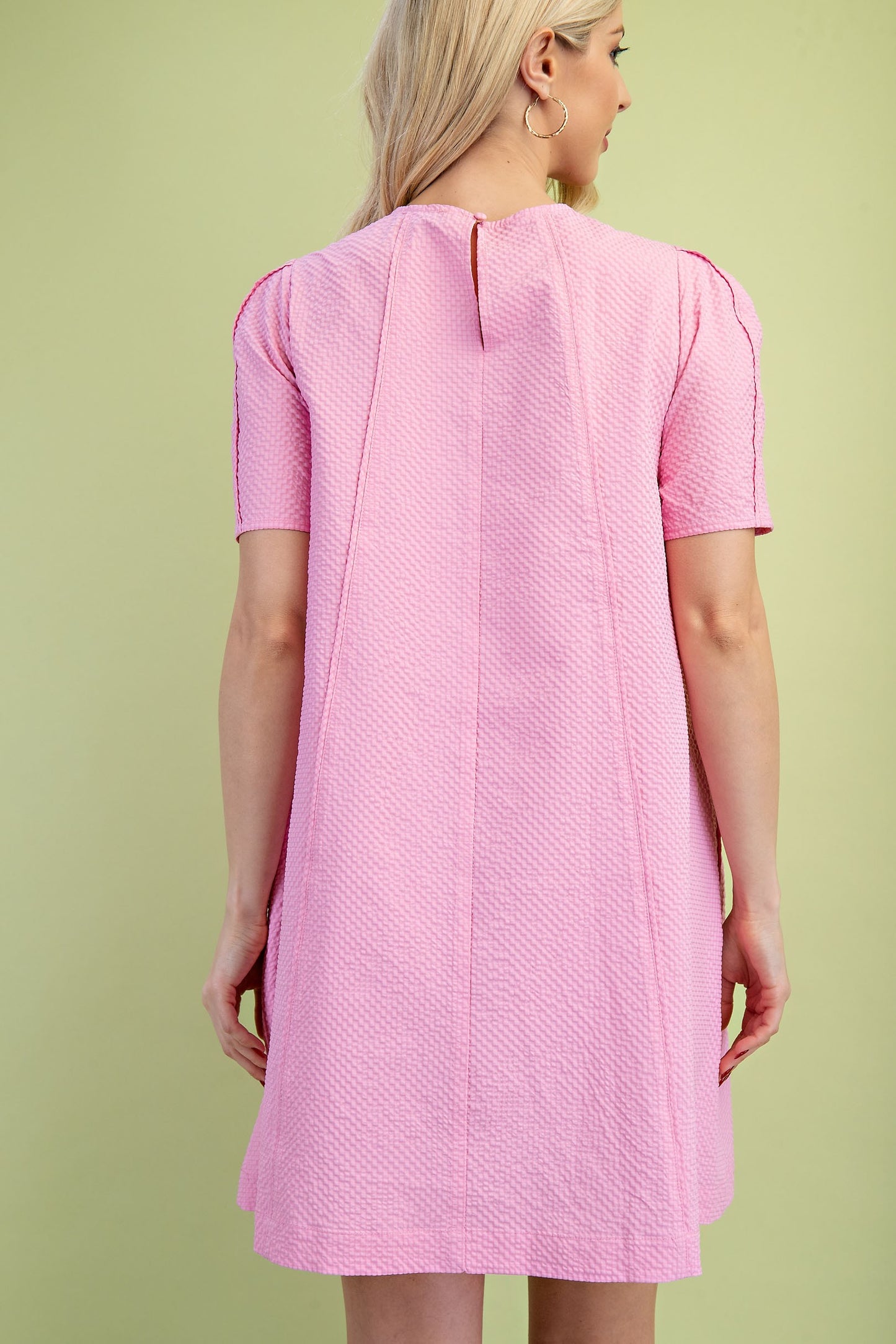 Paneled Textured Round Neck Mini Dress