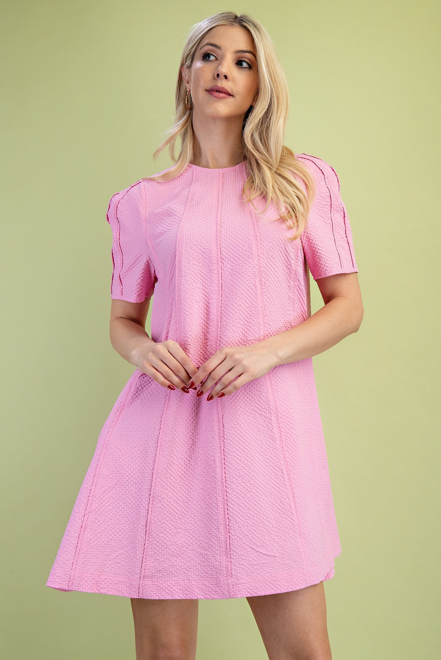 Paneled Textured Round Neck Mini Dress