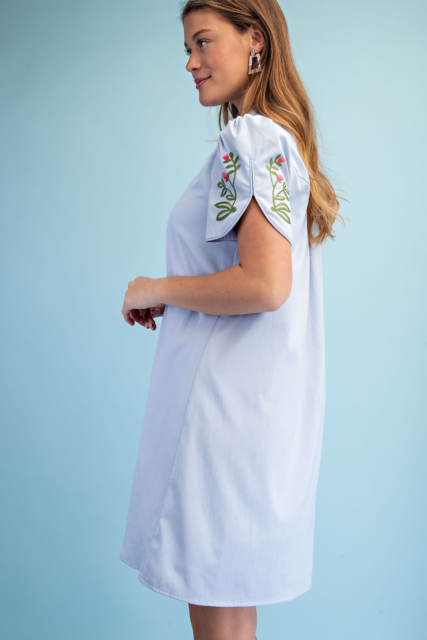 Floral Embroidered V-neck Dress