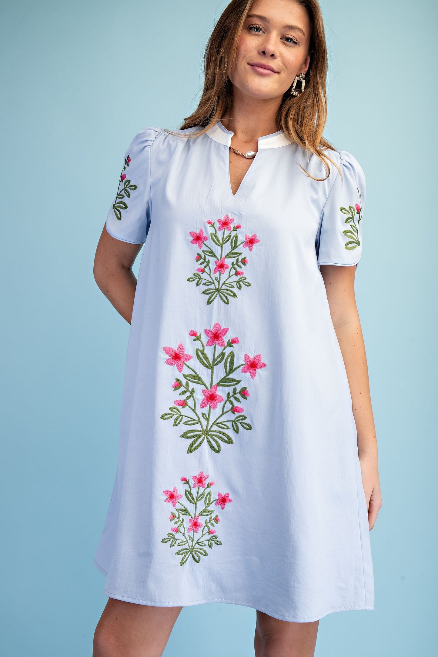 Floral Embroidered V-neck Dress