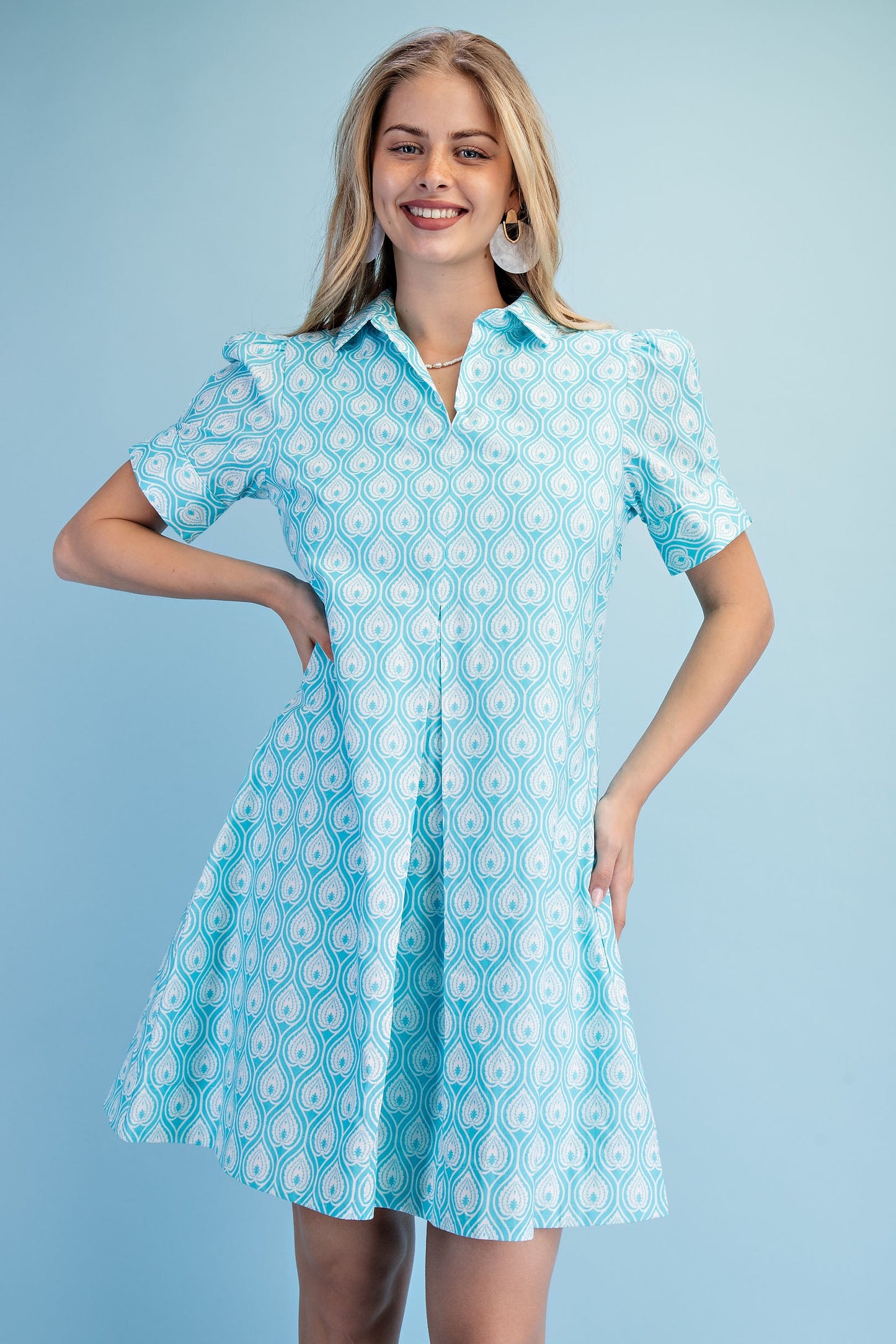 Printed A-line Collared Mini Dress