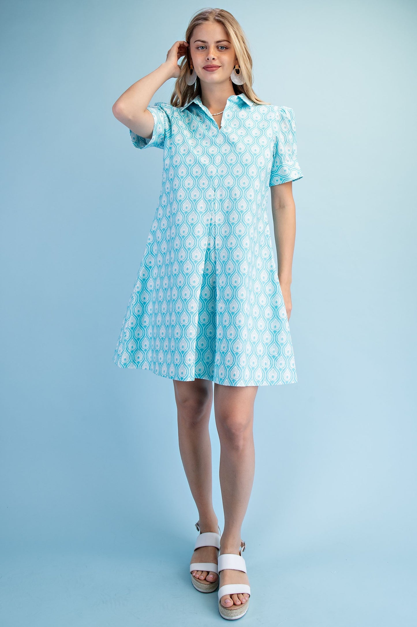 Printed A-line Collared Mini Dress