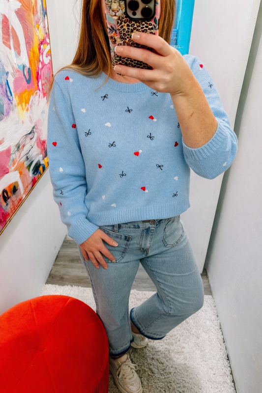 Long Sleeve Round Neck All Over Embroidery Sweater