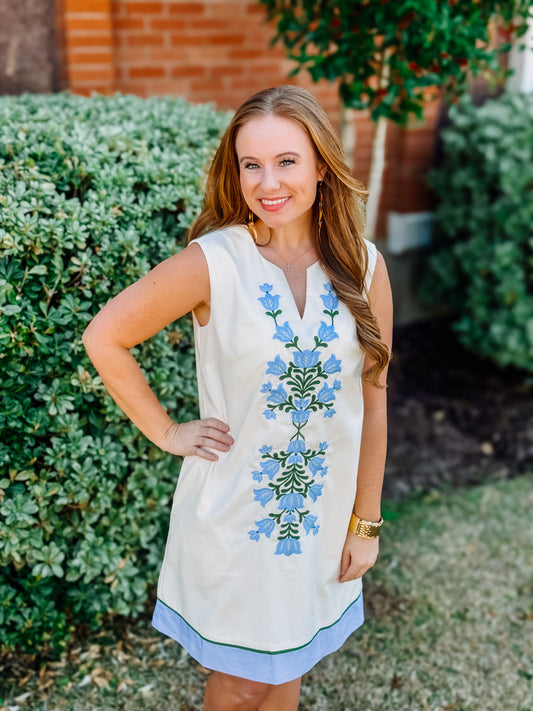 SLEEVELESS FRONT EMBROIDERED MINI DRESS
