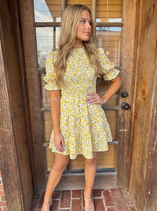 Floral Print Puff Sleeve Mini Dress